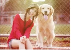 如何更好的和汪星人相處？